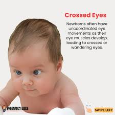 Which of your fur babies is most excited about the new baby?