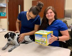 Contents 5 how does home again pet protection program work ? Veterinary Services In Tulsa Ok 74133 Care Animal Hospital