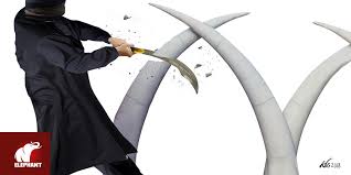 Islamic day trading is accepted as halal and you need to analyze the broker in advance with accordance to the limits of halal. Goldsmith Shia Versus Bidha A How The Seeds Of Islamist Radicalisation Took Root On The Coast Of Kenya The Elephant