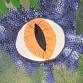 Guided Painting: Dino Eye