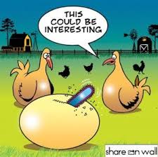 Pin By Shareonwall On Fun Chicken Humor Farm Humor Funny Chicken Memes Funny chicken memes 12 hrs therfuc if you named your chicken after the last thing you ate what would their name be? pinterest