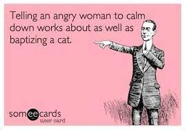 Telling An Angry Woman To Calm Down Kill The Hydra Funny Cartoons Jokes Ecards Funny Funny Quotes