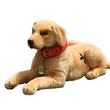 Satin Al Simulasyon Hayvan Kopek Gercekci Labrador Pelus Oyuncak Golden Retriever Kopek Cocuklar Cocuklar Erken Egitim Hediye 82x38cm Dy50823 Icin Bebek Oynamak Tl369 33 Tr Dhgate Com