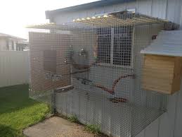Bird Aviary For Sale South Africa African Grey Parrot Breeding Cages African Grey Parrot African Grey Bird Cages