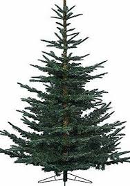 Uk Christmas World 1 8m Everlands Nobilis Fir Artificial Luxury Realistic Christmas Tree Heigh Realistic Christmas Trees Christmas Tree Sale Christmas Trees Uk