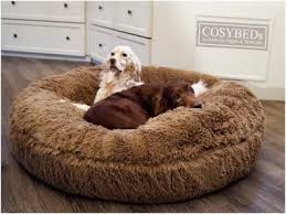 Dogs Inn Hundeshop Cosybed Air Longhair Macciato Dogs Inn Online Shop Hunde Shop Hund Sofa Hunde Bett