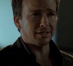 Sean Patrick Flanery's acting career