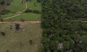 Get live exchange rates, historical rates & charts for bgn to ron with xe's free currency calculator. A Amazonia Esta A Venda Quem Der Menos Leva Opiniao El Pais Brasil