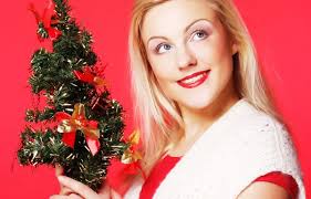 Christmas holly Stock Photos, Royalty Free Christmas holly Images