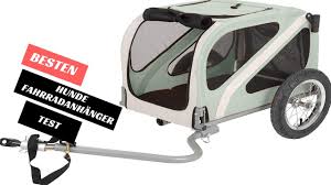 Die Besten Hunde Fahrradanhanger Test 2020 Youtube