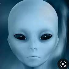 Lucas Walter in people