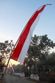 Check spelling or type a new query. Jual Bendera Merah Putih Harga Grosir Jual Umbul Umbul Merah Putih