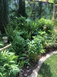 Für den garten ist dies eine schöne pflanze, recht unprätentiös und auch im rauesten klima gut überwinternd. Farngarten Farne Garten Garten Winterhart