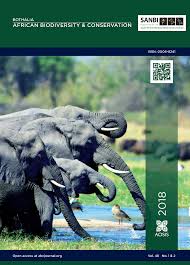 Image result for Ecbolium hastatum