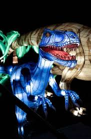Especes En Voie D Illumination Museum National D Histoire Naturelle Voyante Histoire Naturelle