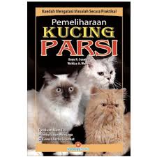 Kini umur baru masuk 9 bulan. Pemeliharaan Kucing Parsi Shopee Malaysia