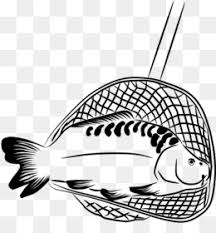 (even though they look a little like a snake, eels are a type of fish) goldfish. Fishing Net Png Free Download Rope Fishing Trawler Ship Fishing Vessel Net