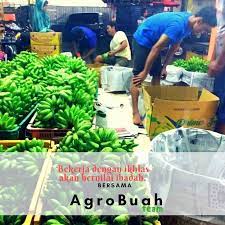 Loker supir serabutan sleman : Lowongan Kerja Sopir Dan Kerja Serabutan Agro Buah