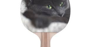 Russian Blue Kitty Kitten Cat Animal Pet Grey Ping Pong Paddle Blue Gifts Style Giftidea Diy Cyo Cats And Kittens Pets Cats Russian Blue