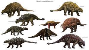Dinosaurs Images More Armoured Dinosaurs Hd Wallpaper And Background Photos 39775251 Dinosaur Wallpaper Prehistoric Animals Dinosaur