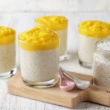 Tapioca Pudding Recipe