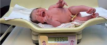 Variables Que Influyen En El Peso Del Recien Nacido