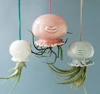 Maceta colgante con forma de medusa. Una bonita maceta con ...