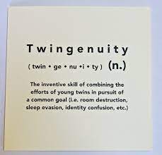 Funny Happy Birthday Twin Quotes Twin Quotes Funny Twin Quotes Twins Birthday Quotes