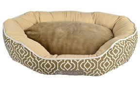 Wild Olive 24 By 32 By 7 Inch Geo Pet Bed Large Multicolor Oval Check Out This Great Image This Is An Amazon Dog Bed Cool Dog Beds Memory Foam Dog Bed