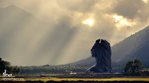 Lord shiva wallpapers high resolution 73 images. 60 Shiva Adiyogi Wallpapers Hd Free Download For Mobile And Desktop