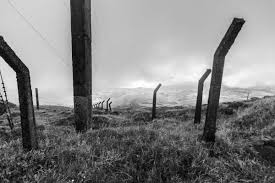 27 Black And White Landscape Images