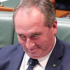 Barnaby Joyce abortion NSW comments have been met with criticism.