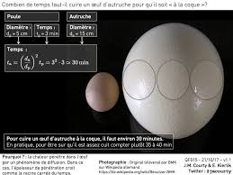 I never heard oeuf à la coque as a synonym for jerks. Cuire Un Oeuf D Autruche A La Coque Questions De Physique