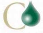 Holdings berhad (37918a) to c.i.0.org of c.i. Working At Continental Resources Sdn Bhd Wholly Own Subsidiary Of C I Holdings Bhd Company Profile And Information Jobstreet Com Malaysia