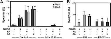 Termenii de așteptare la programările pentru rar, înmatriculare sau plăcuțe cu numerele de înmatriculare pot să difere în. Implication Of Retinoic Acid Receptor Selective Signaling In Myogenic Differentiation Scientific Reports