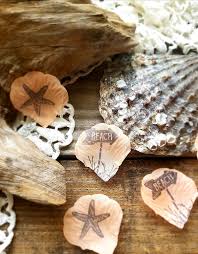 2 count (pack of 1) 3.3 out of 5 stars. Free Delivery Beach Party Table Decorations Beach Wedding Decor Beach Theme Bridal Shower Decorations Table Confetti Flower Petals For Wedding Limited Edition Albosla Net