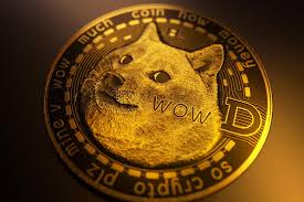 16 2021, updated 4:54 p.m. Doge To The Moon Why Spacex Is Sending Crypto Dogecoin Out Of This World And Elon Musk Influence Explained Nationalworld