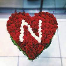 Flowers are love's truest language flowers love little girls. 7 Flower Name Ideas Flower Names Flower Letters Red Roses