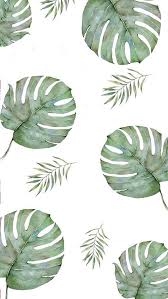 Tumblr Palm Leaf Iphone Wallpaper Landscape Wallpaper Iphone Wallpaper Vintage Leaf Wallpaper See more apple wallpaper, apple iphone wallpaper, vintage pineapple wallpaper, pineapple emoji wallpaper, cute pineapple background, apple ios 7 looking for the best apple wallpaper? tumblr palm leaf iphone wallpaper