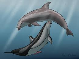 Rule34 - If it exists, there is porn of it  kai-dolphin  856460