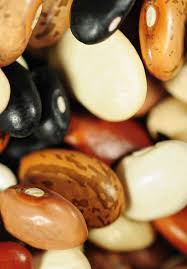 Image result for Sphenostylis