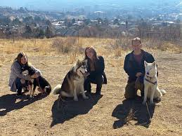 With over 65 years of combined training experience and one of our graduate degrees in mpbc philosophy, you and miss ivy and her person. Pandemic Prompts Kannapolis Family To Launch Dog Training Franchise Salisbury Post Salisbury Post