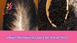 حبة البركة علاج سحري لتساقط الشعر فوائد حبة البركة زيت حبة البركة Nigella Sativa Youtube