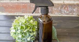 Le Meilleur Truc Pour Faire Un Chasse Moustique Naturel Maison Style Off Recipe Bug Repellent Mosquito Soap Dispenser