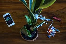 Get app upgrades for more instruments and customization options. Device That Allows Plants To Play Music Spawns Kooky Community