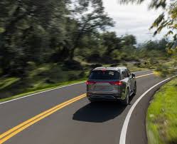 Image result for Manganese Luster 2025 LZ