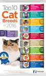 Most Popular Cat Breeds | Purina