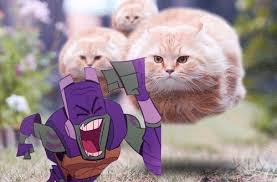 Donnie Meme Tmnt Memes Character