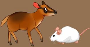 Check spelling or type a new query. Dongeng Kancil Dan Tikus Cerita Fabel Untuk Anak Popmama Com