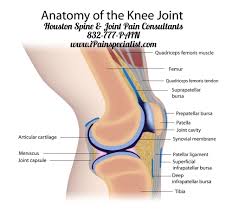 Pin On Knee Pain
